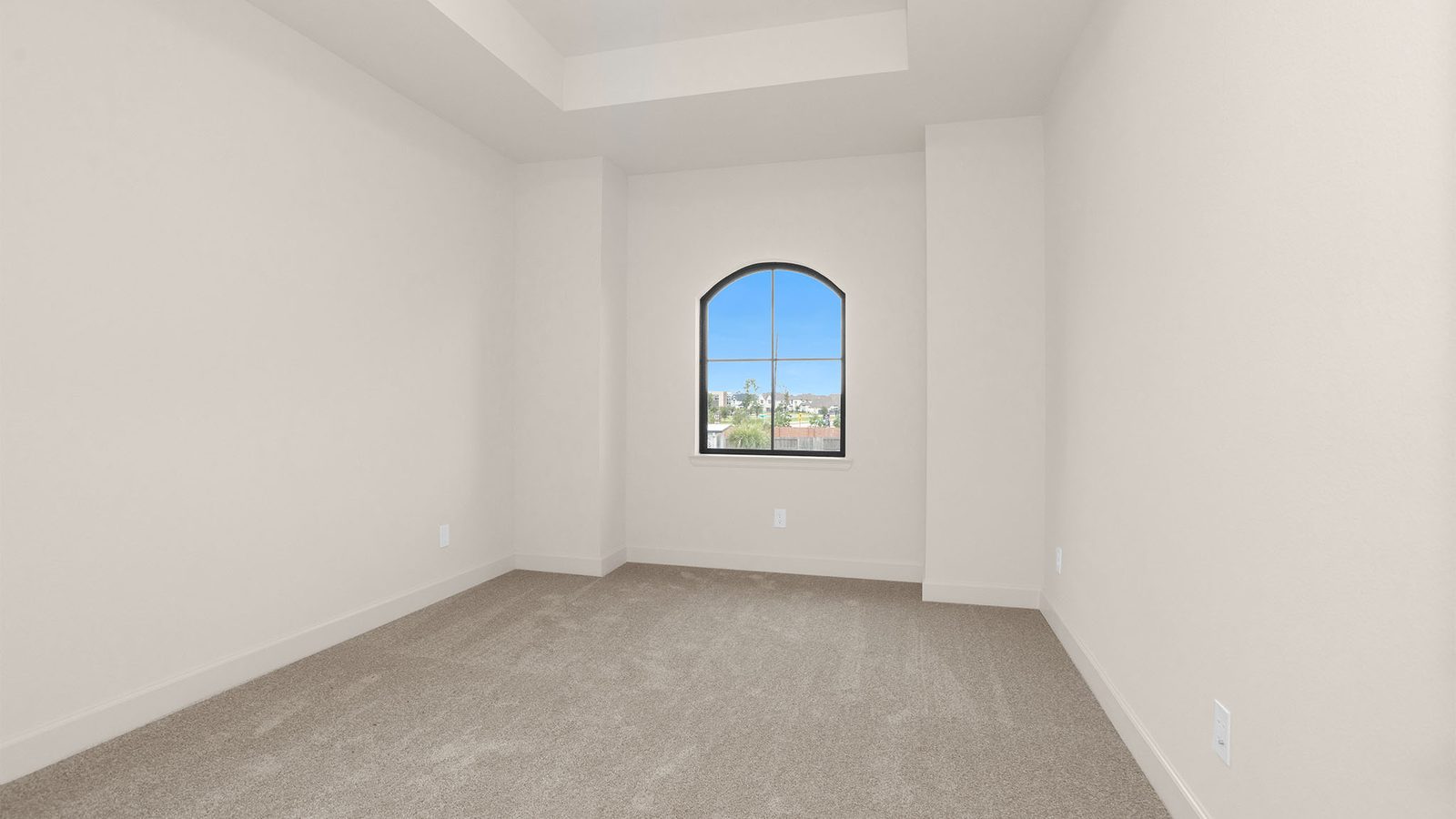 10110 Regal Mist Drive photo 14